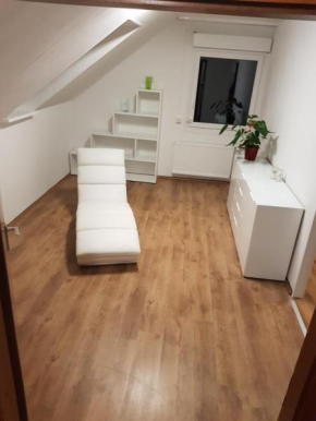 Top XXL Apartment -- großes, elegantes und helles Apartment -- WiFi -- WLAN -- Parkplatz --